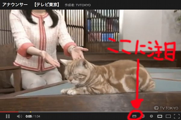 カオス Youtubeの日本語字幕がヤバすぎる いまトピ