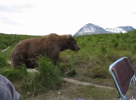 いつの間にか隣にクマがやってきた恐怖映像