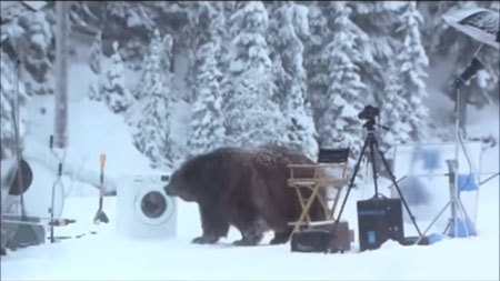 雪山で撮影中にクマ出没！緊迫の中、予想外の展開