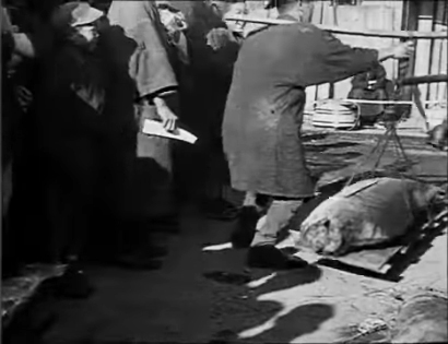 【約100年前】1920年頃の日本各地とアイヌの貴重な祭りを撮影した驚愕映像