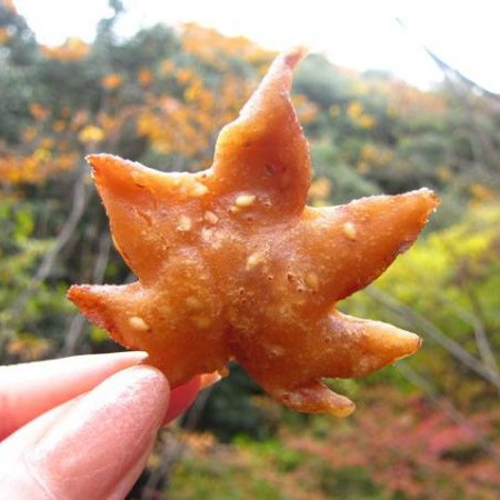 もみじだけじゃない 天ぷらにすると美味しい意外すぎるあれこれ いまトピ