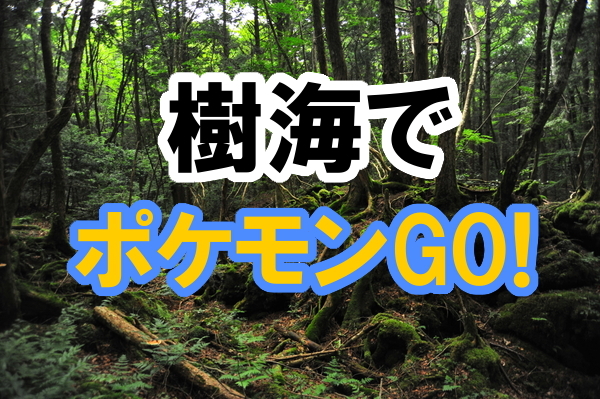 ポケモンgo 富士の樹海でポケモンを探してみた いまトピ