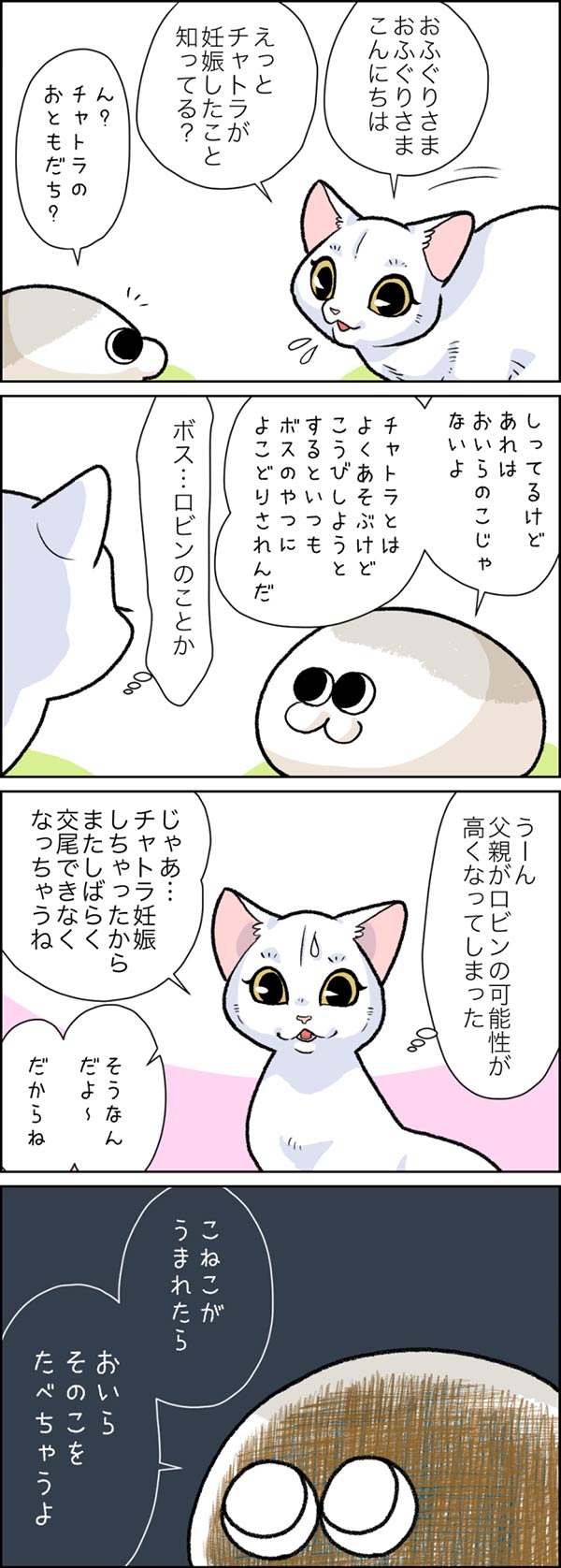 おふぐりさま メスが妊娠した時 おふぐりさまの気持ちは いまトピ