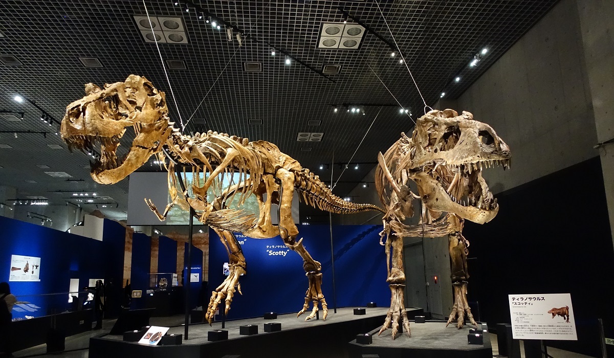 国立科学博物館 特別展「恐竜博2023」に出現した話題の恐竜たちを