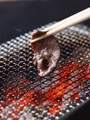 焼肉