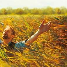 【ゴッホ殺人事件】ゴッホの死因は自殺ではなかった!