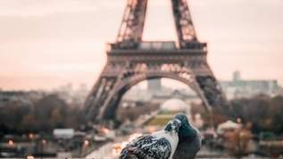 パリのシンボルに会いたくて、エッフェル塔まで行ってきた！！！