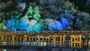 【京都×イルミネーション】渡月橋と竹林がライトアップ！『嵐山花灯路』