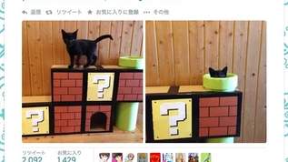 【画像】マリオ風な手作りの猫の遊び場が話題に