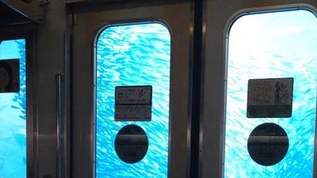 【画像】海の中を走る電車？車内から撮影された写真が美しすぎる