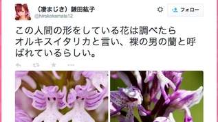 【閲覧注意】人間にそっくりな植物の画像まとめ