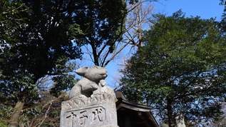 ツキを呼ぶ！うさぎだらけの浦和の神社