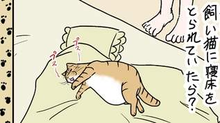 【職人芸】寝床を飼い猫が占領してしまった時、飼い主の業が光る！