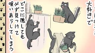 【ネコマンガ】うちの飼い猫 猫草好きすぎ問題・・・【恐怖】
