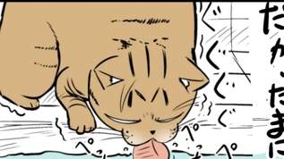 【ネコまんが】お風呂の湯を飲む猫に襲いかかる突然の・・・