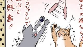 【ネコ漫画】ネコジャラシ、遊んでもらっていたのは誰だ！？の巻