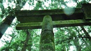 マジで異世界！熊本県「上色見熊野座神社」が怖いけれど神秘的と話題