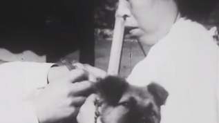 【昭和20年代の川崎】91人が狂犬に噛まれ…全国一の狂犬が発生していた時代の映像