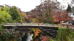 【浮世絵の絶景が…今はインスタ映え！】紅葉の名所＆日本三奇橋の「猿橋」って？