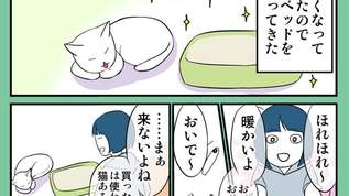 【物欲せっちゃんズ】猫ベッド