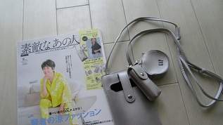 付録見えしない！素敵なあの人の付録がお値段以上だった…トレンドカラーのシャイニーシルバーがオシャレすぎ、GAPとコラボしたレザー調のスマホショルダーバッグが1680円で手に入る（1）