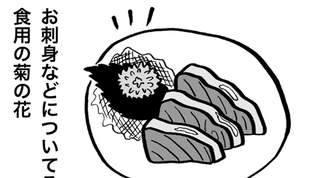 隠れたスゴいやつ！お刺身の「食用菊」の正しい食べ方