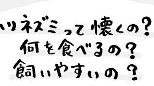 【漫画】ハリネズミって飼いやすいの？