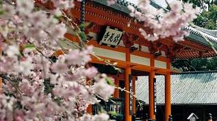 #推し古寺 SNS上で日本のお寺の魅力再発見の旅へ！