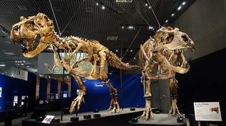 国立科学博物館 特別展「恐竜博2023」に出現した話題の恐竜たちを見逃すな！