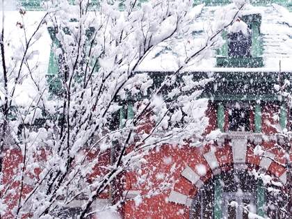 あえて雪の日に建築さんぽ。京都のレトロ建築と冬景色