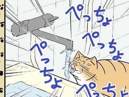飼い猫が風呂場で水を飲み飼い主は・・・の巻