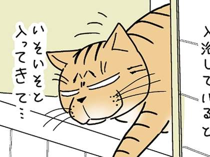 コボボイ - いまトピ
