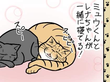 コボボイ - いまトピ