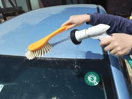 「これが車の窓やボディに花粉がこびりついていると誤解される正体である」→ネット民「これこれ！夏に向けて増えるヤツ！」「これのせいでカローラの塗装はだいぶお疲れよ」「1匹でこの量はえぐすぎ」（1）