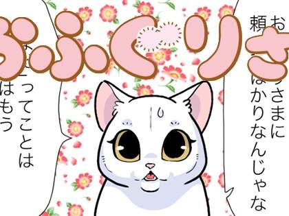 よるのねこまんが「おふぐりさまといつかは」【おふぐりさま】（1/2）