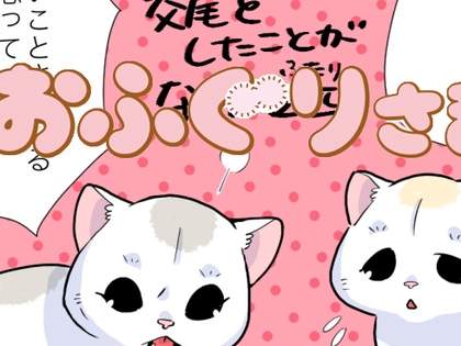 よるのねこまんが「ケンカじゃないよ交尾だよ」【おふぐりさま】（1）