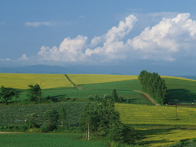 北海道