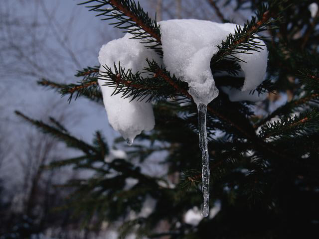 氷
