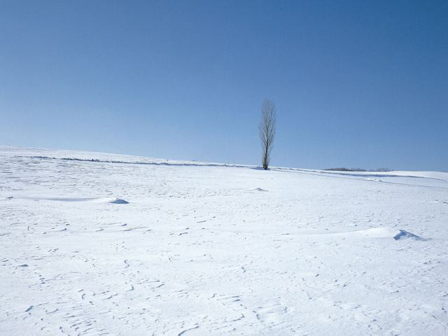 雪