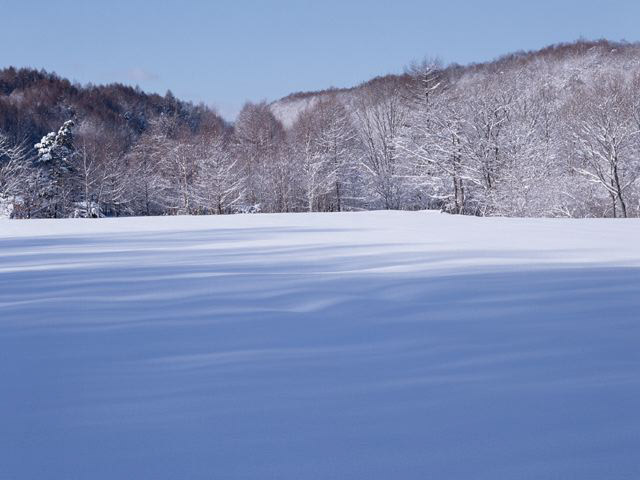 氷