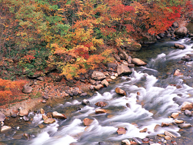 奈良県