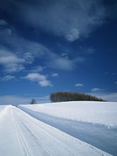 雪道