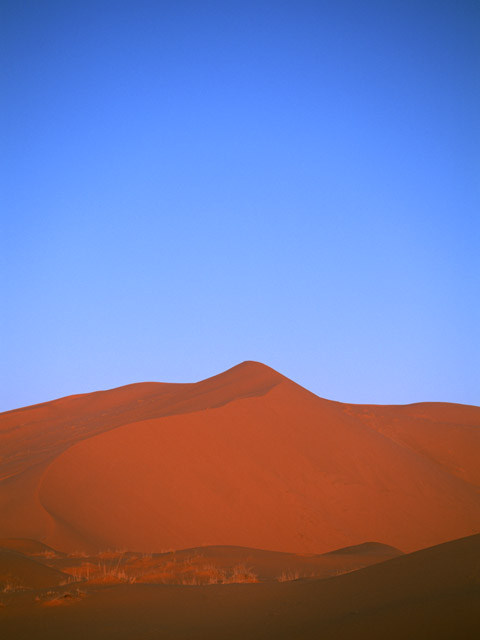 砂漠