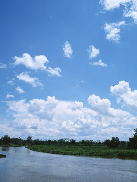 大河