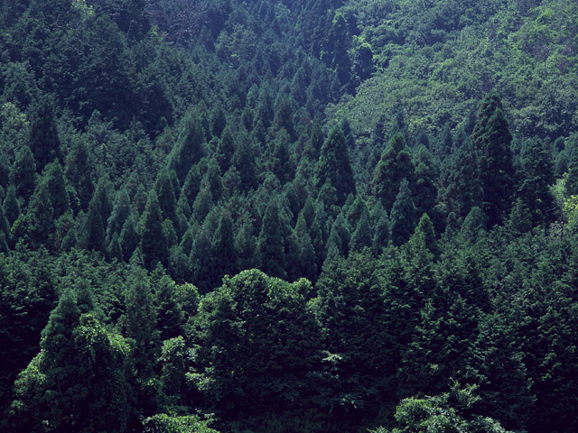岐阜