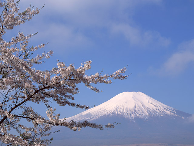 富士山