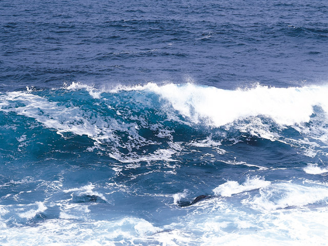 海