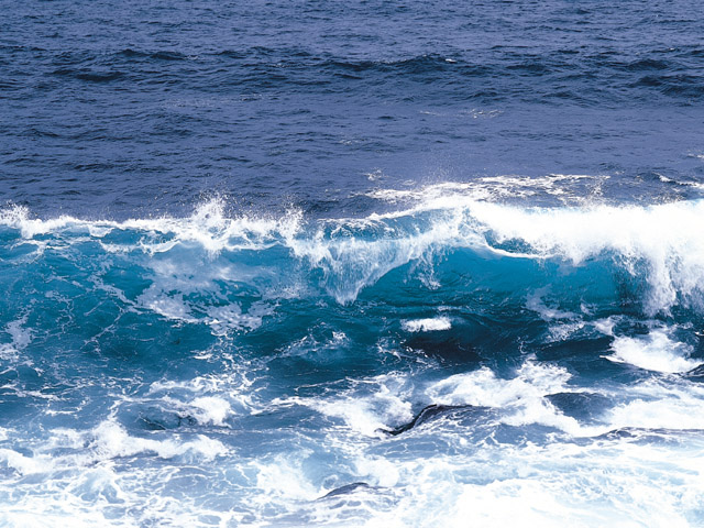 海