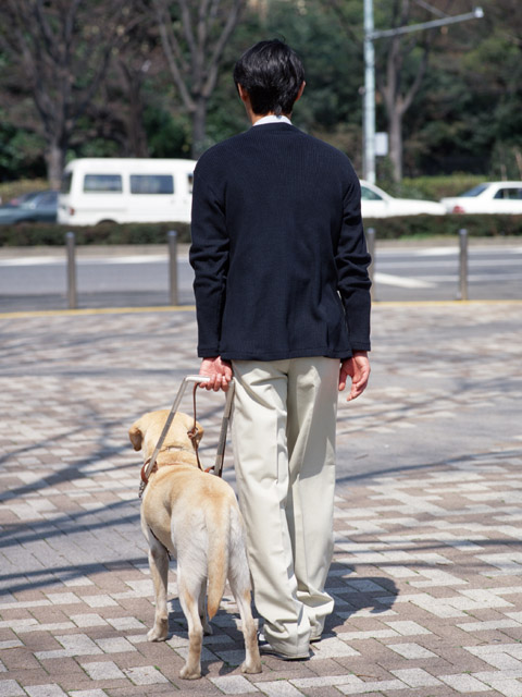 犬