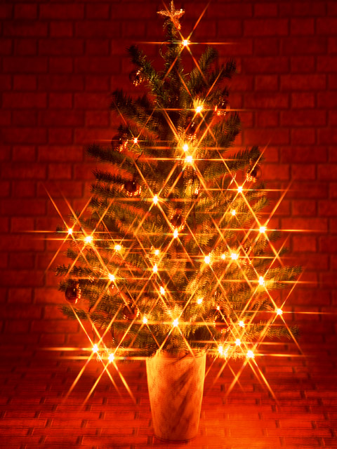 クリスマスツリー